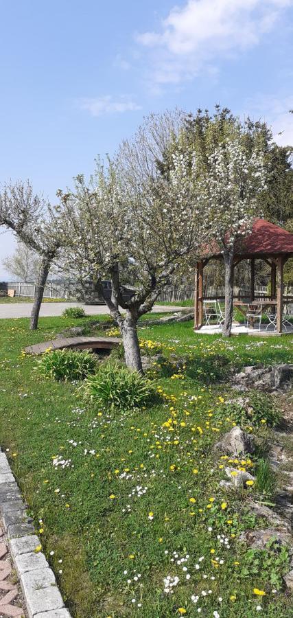B&B Talstation Horselberg-Hainich 외부 사진
