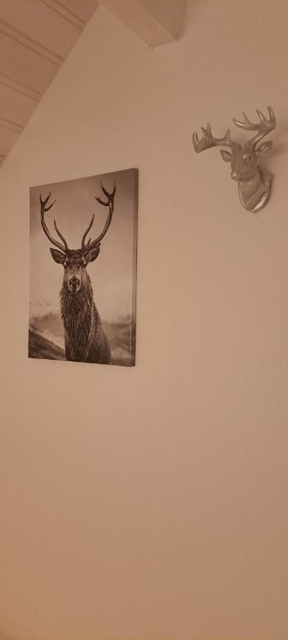 B&B Talstation Horselberg-Hainich 외부 사진