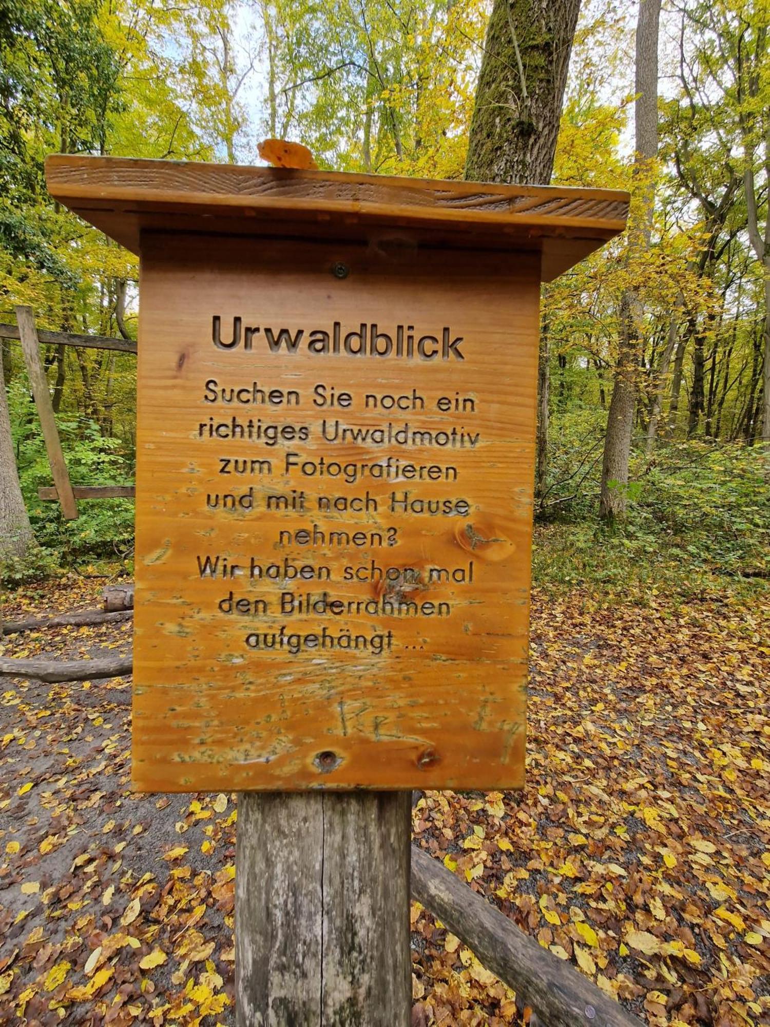 B&B Talstation Horselberg-Hainich 외부 사진